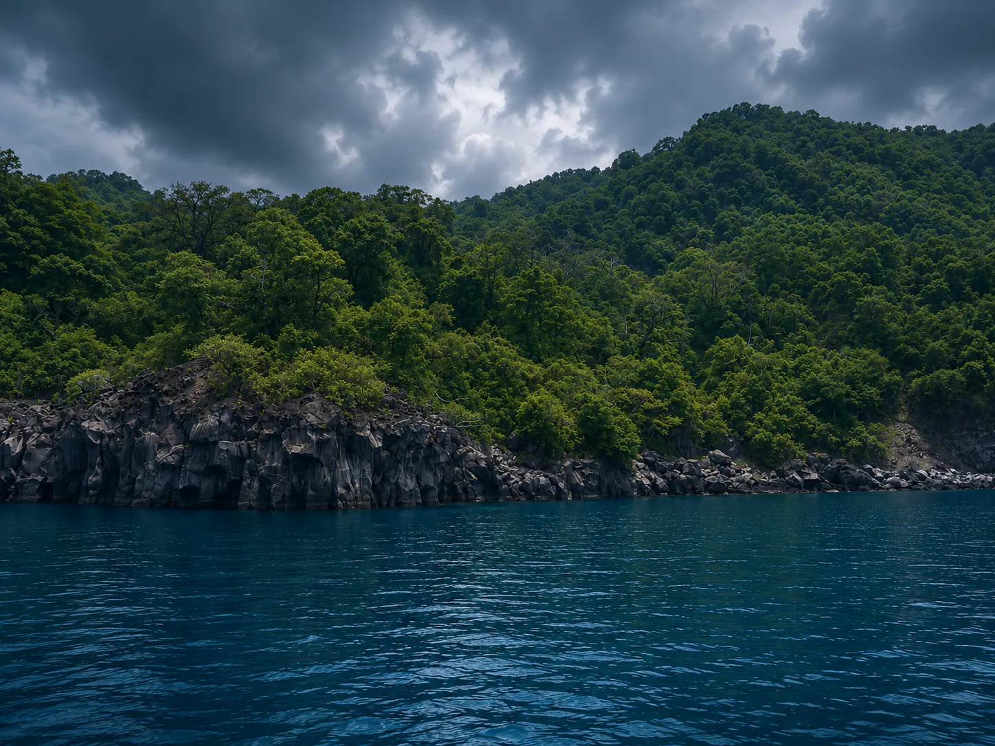 Aerial view of the pristine Great Nicobar coastline meeting deep blue water