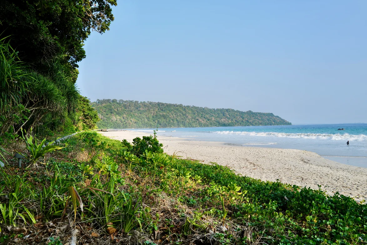 Save Nicobar