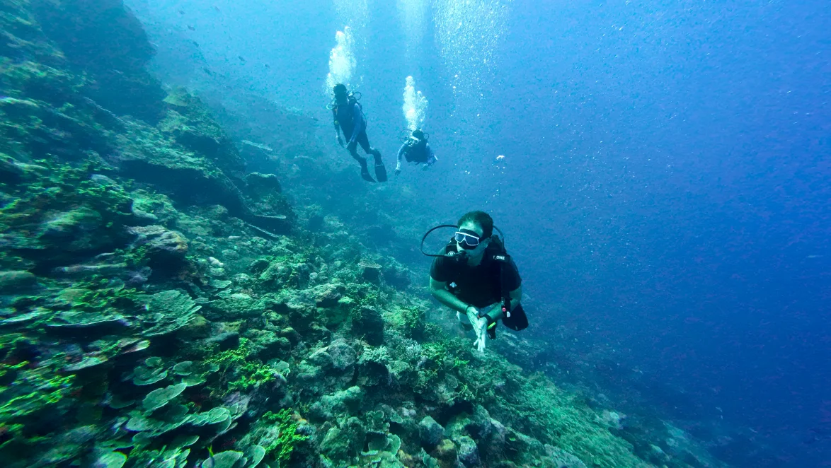 A vibrant coral reef in the waters around Great Nicobar
