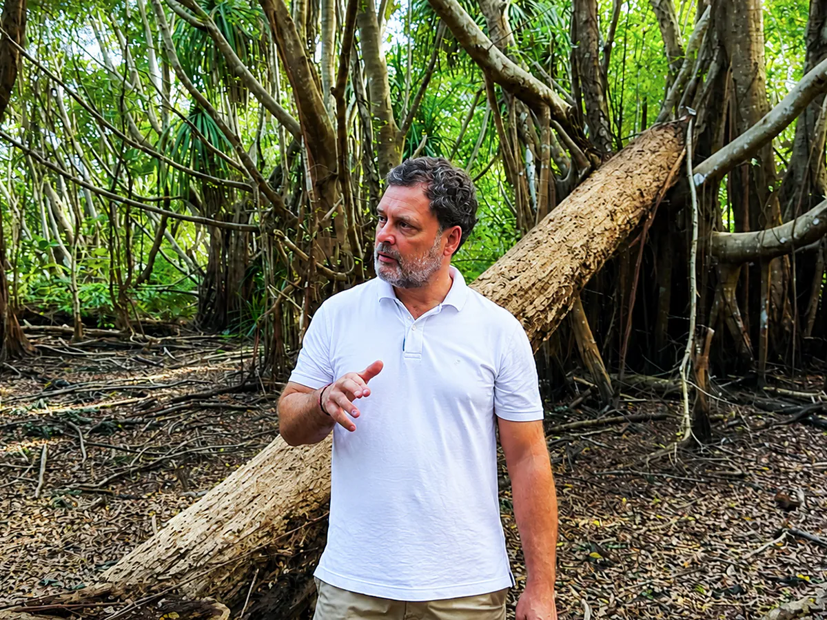 The rainforest habitat of the Shompen people of Great Nicobar